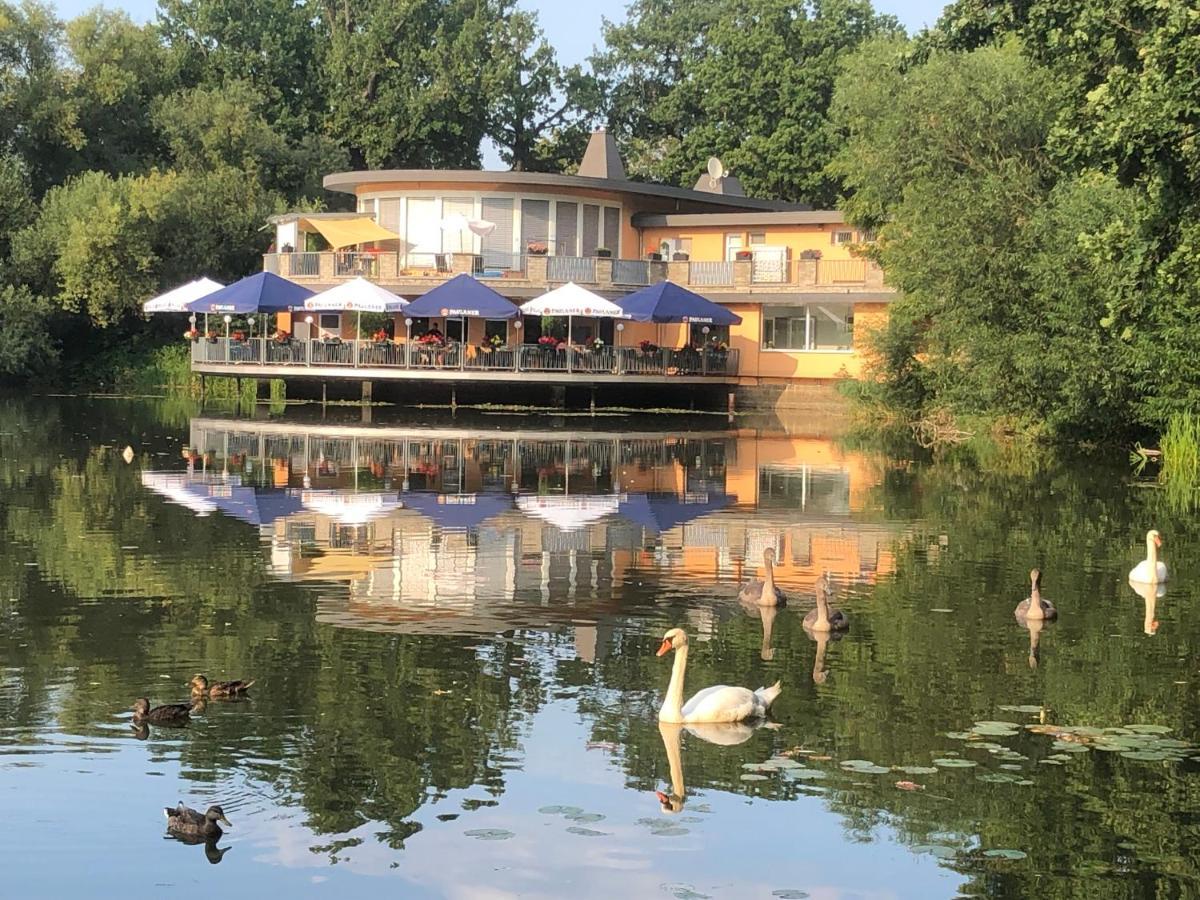 Pension Am See Torgau Eksteriør bilde
